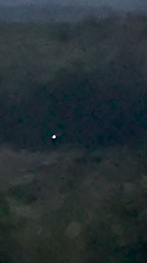 Plasma Sphere Shapeshifts Over Pond, October 2024