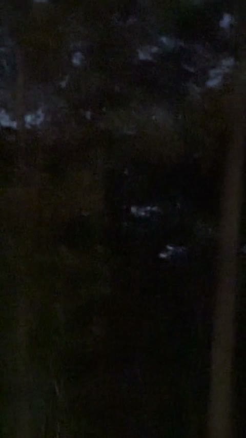 Twin Red Orbs Merge Over Northeastern Backyard